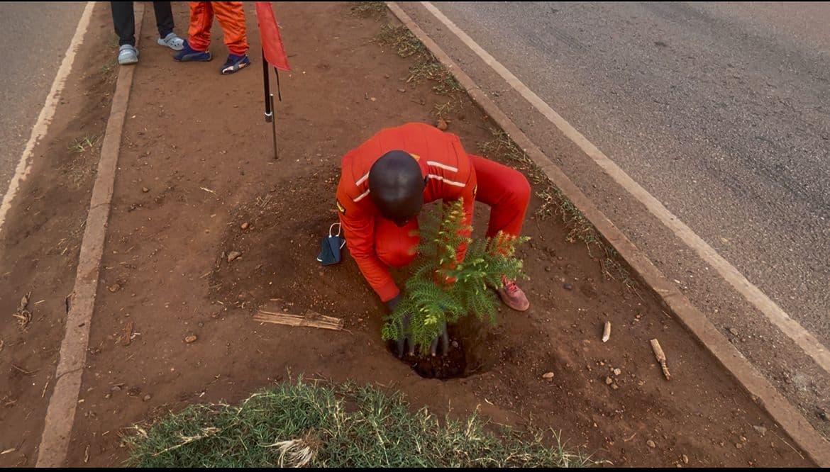 Rally drivers go green: Ssegaabwe leads tree-planting initiative at EMC rally